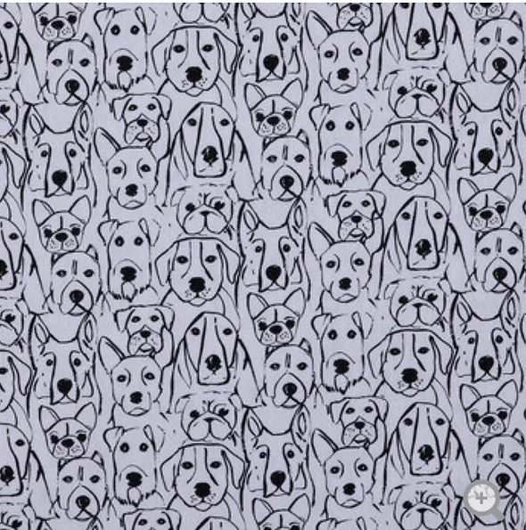 Black and White Dogs