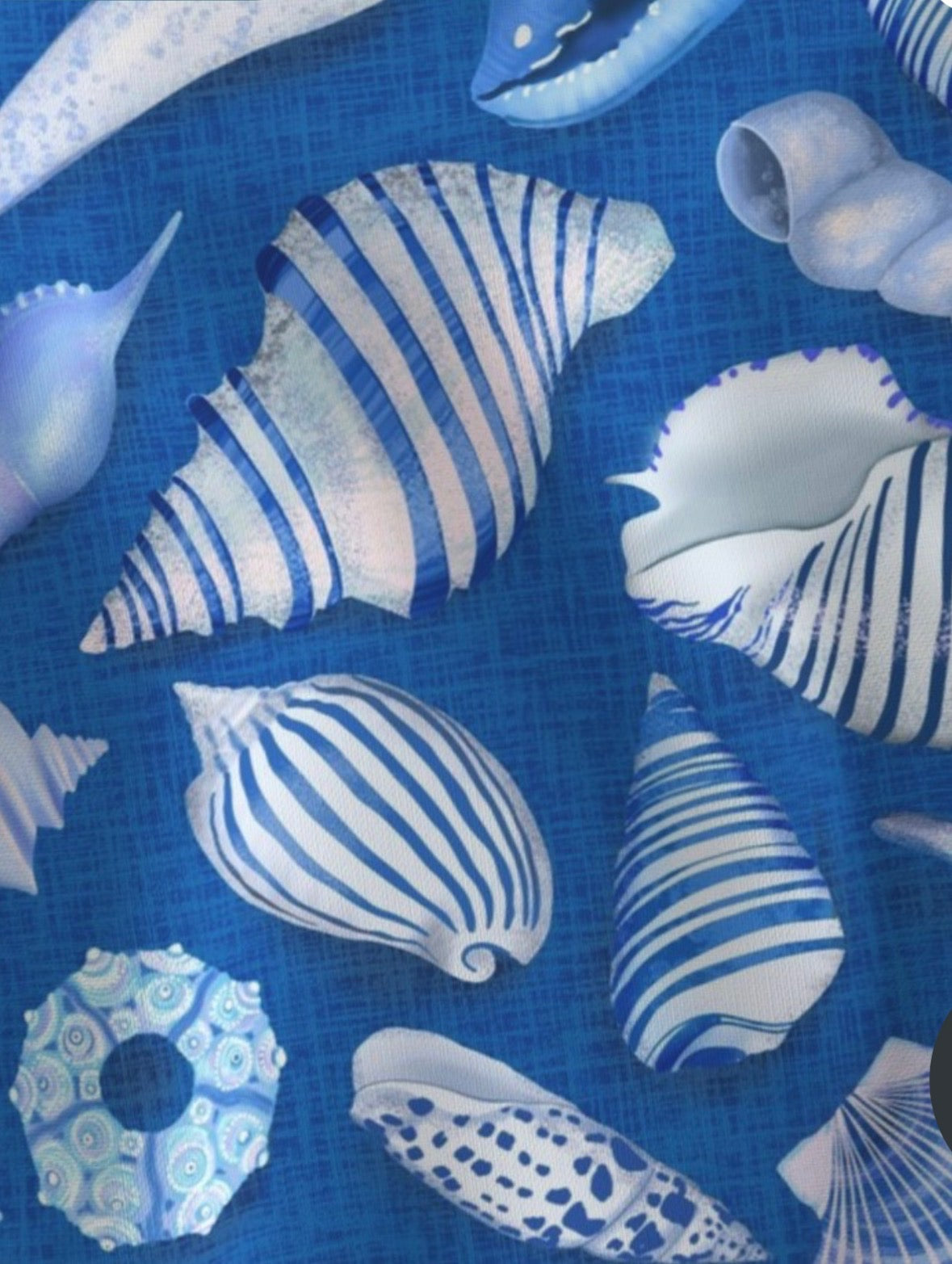 Beach Comber Treasures
