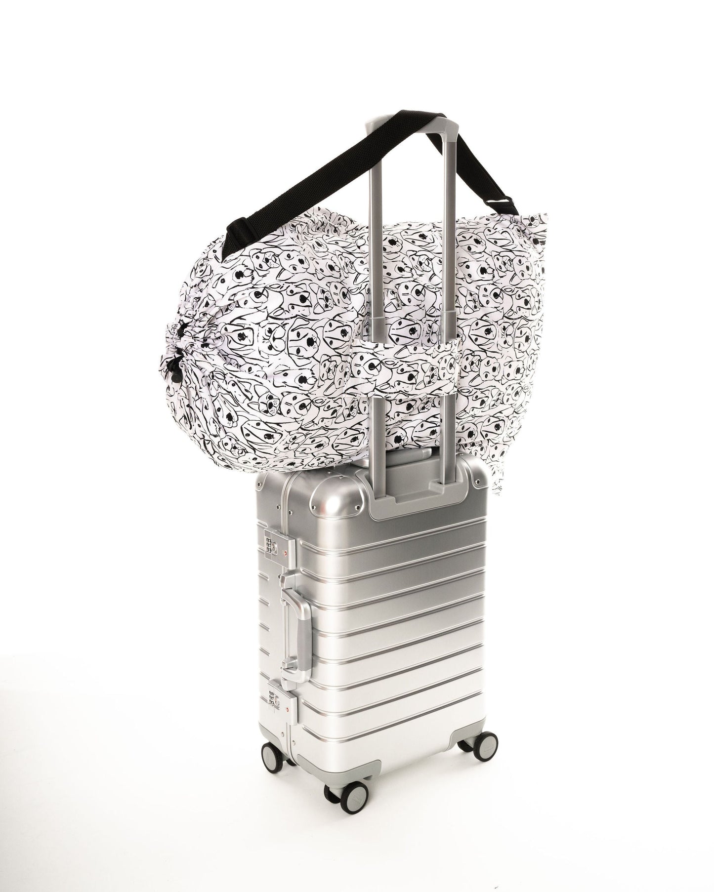 Black and White Dogs