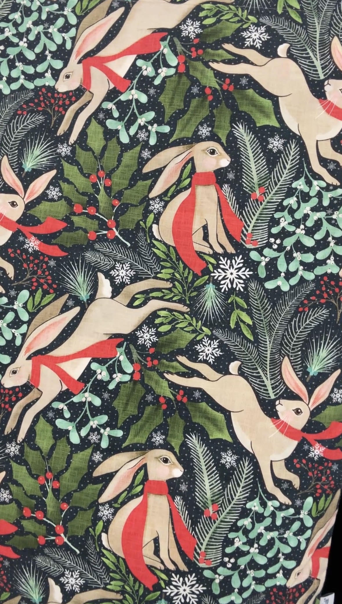 Festive Winter Hare