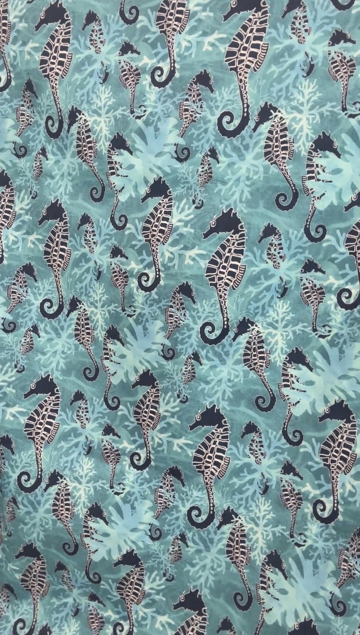Seahorse Dreams