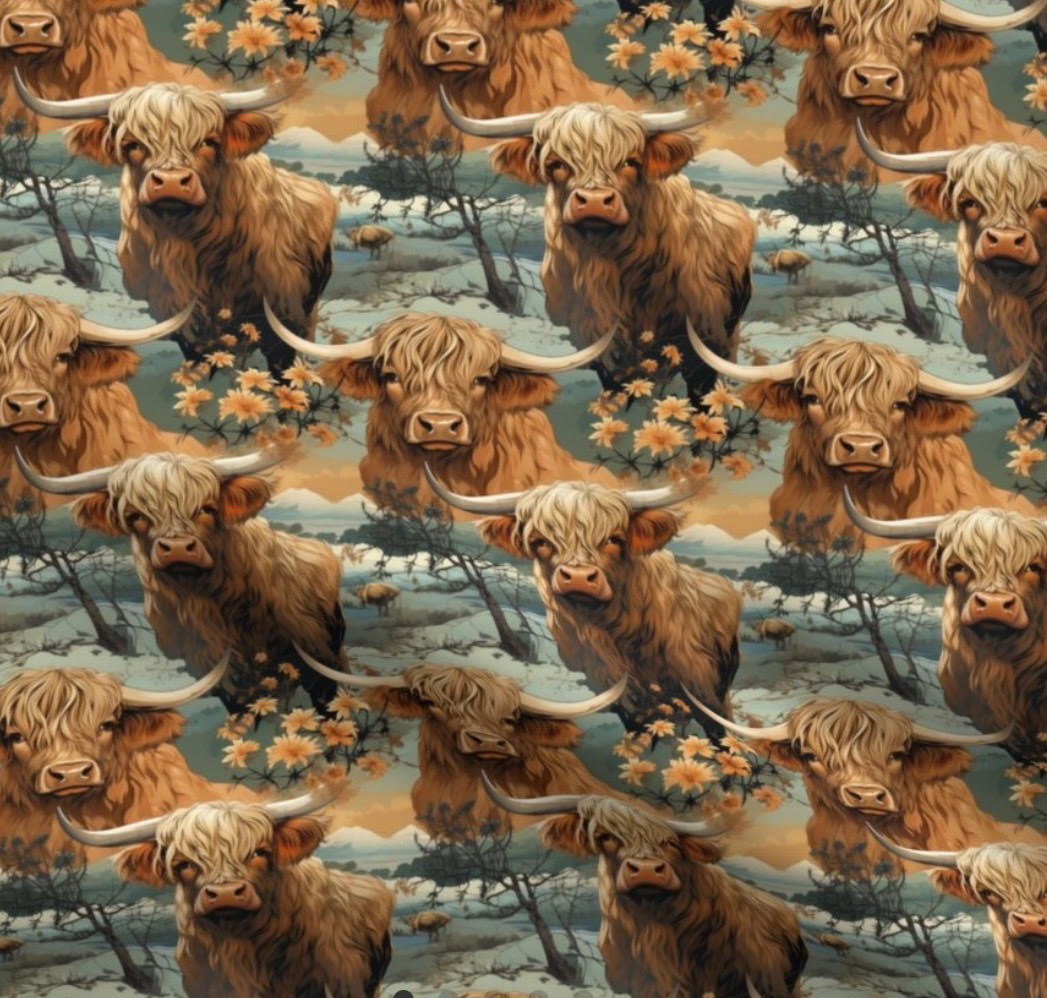 Highland Cows